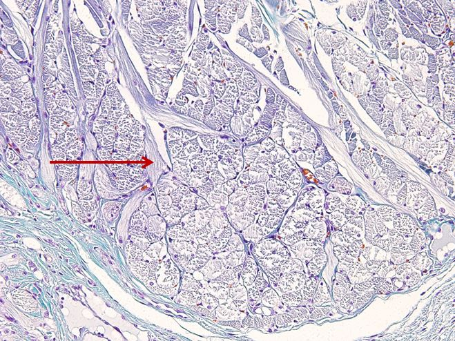 <p>Cấu trúc gì ?</p>
