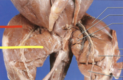 <p>what is the yellow line pointing to?</p>