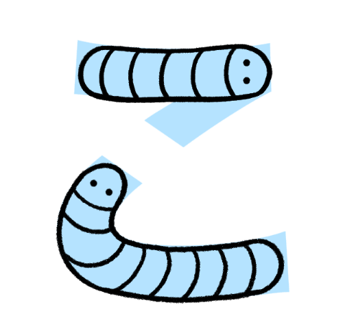 <p>“Ko” (like in “coin” or “cohabitating”) → think of two <span style="background-color: rgb(23, 23, 23);">co-habiting </span>worms</p>