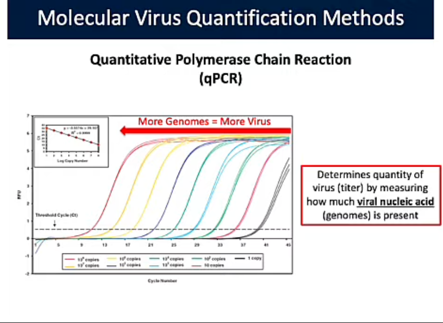 <p>Quantitive Polymearse Chain Reaction (qPRC) (Molecular Quantification Methods)</p>