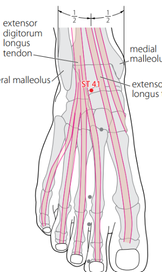 term image