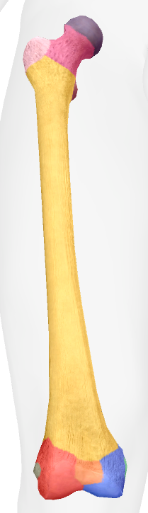 <p>orange</p>