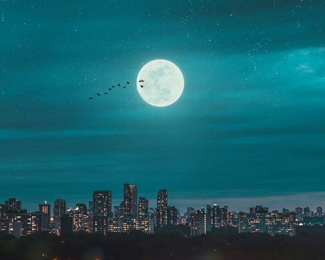 <p>Buenas noches.</p>