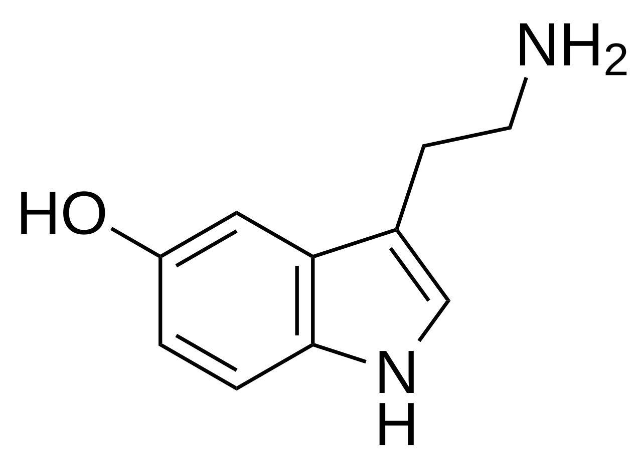 <p><strong>Serotonin</strong></p>