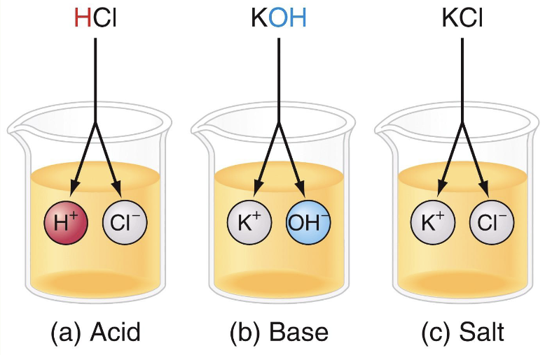 <ul><li><p>Acids - higher H+ or lower OH-</p></li><li><p>Bases - higher OH- or lower H+</p></li></ul><p></p>