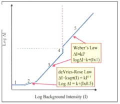 <p>Dark Light Region: Does the dark light change with background intensity</p>