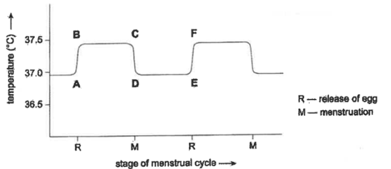 <p><span style="font-family: "Amasis MT Pro Light";">In human beings, body temperature changes during the menstrual cycle. The day after an egg is released from an ovary, the body temperature rises by approximately 0.5˚C and remains at this temperature until the beginning of menstruation. <em>Refer to the following graph, which shows the variation in body temperature during two menstrual cycles:</em></span><span><br></span></p><p><span style="font-family: "Amasis MT Pro Light";">Which one of the following statements is consistent with the information in the graph above?</span><span><br></span><span style="font-family: "Amasis MT Pro Light";">The temperature change between</span><span><br></span><span style="font-family: "Amasis MT Pro Light";">J. A and B could result from an increase in metabolic rate.</span><span><br></span><span style="font-family: "Amasis MT Pro Light";">K. E and F could result from an increase in sweating.</span><span><br></span><span style="font-family: "Amasis MT Pro Light";">L. C and D could result from a decrease in the flow of blood to the skin.</span><span><br></span><span style="font-family: "Amasis MT Pro Light";">M. A and B could result from a decrease in shivering.</span></p>