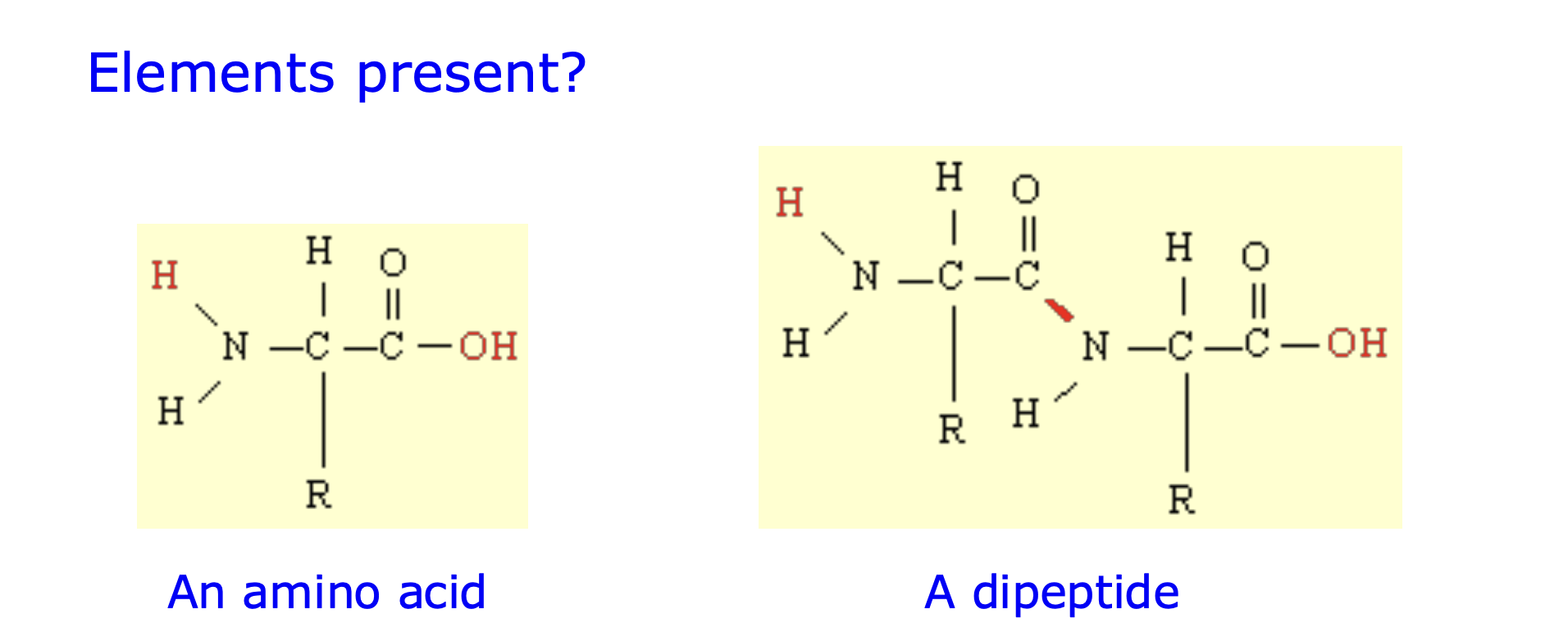 <p>Proteins are organic molecules made up of the elements carbon, hydrogen, oxygen and nitrogen. Some even contain sulfur.</p><p></p><p><strong>(</strong>R group may sometimes contains sulfur &amp; phosphorus)</p>