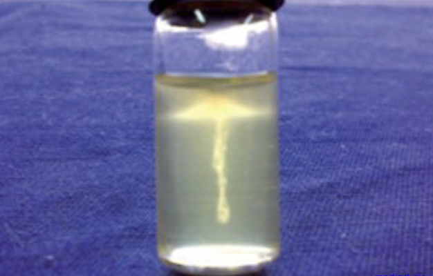 <p>which bacteria can depict <strong>umbrella motlity</strong> in semi-solid media at room temperature (25°C)?</p>