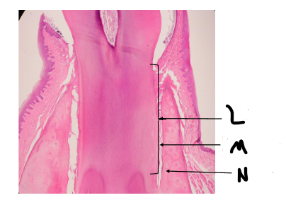 <p>what is N? </p>