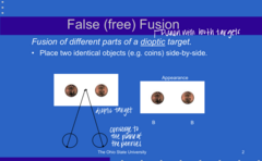 <p>When converged TO THE PLANE OF THE TARGETS, how will the targets appear?</p>