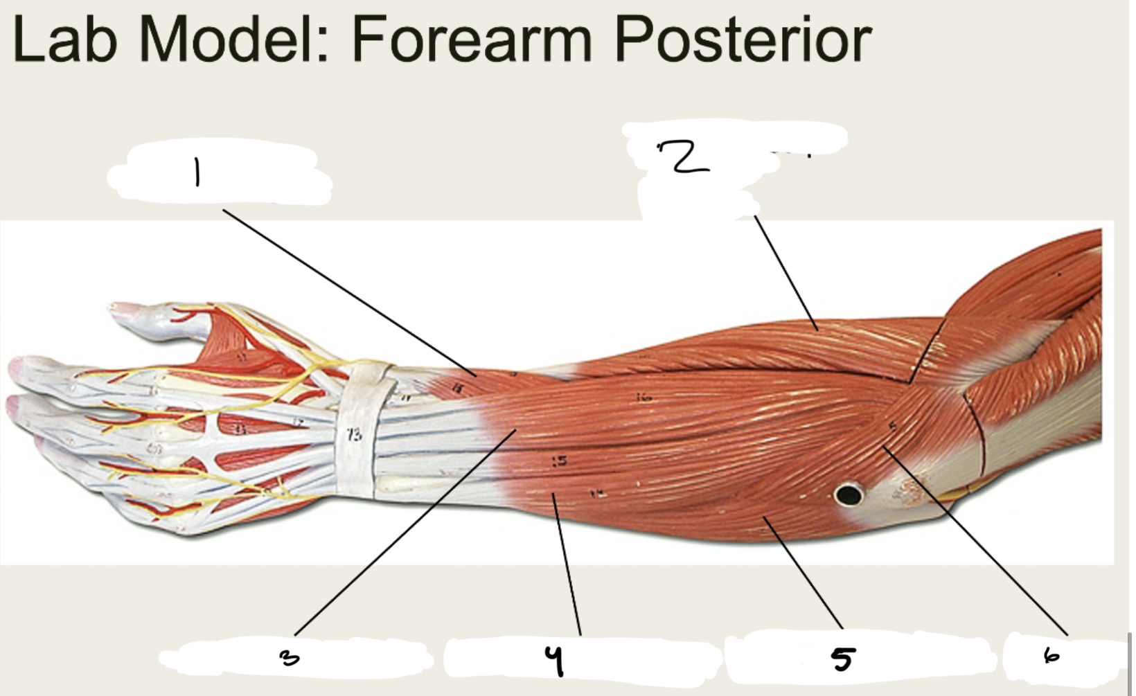 <p>1.XX</p><p>2.XX</p><p>3.XX</p><p>4.XX</p><p>5.XX</p><p>6.XX</p>