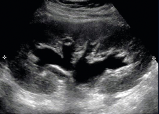 <p>What is this?</p>