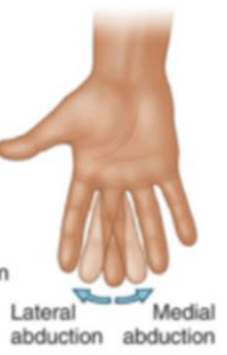 <p>movement from left to right towards the median or lateral positions.</p>