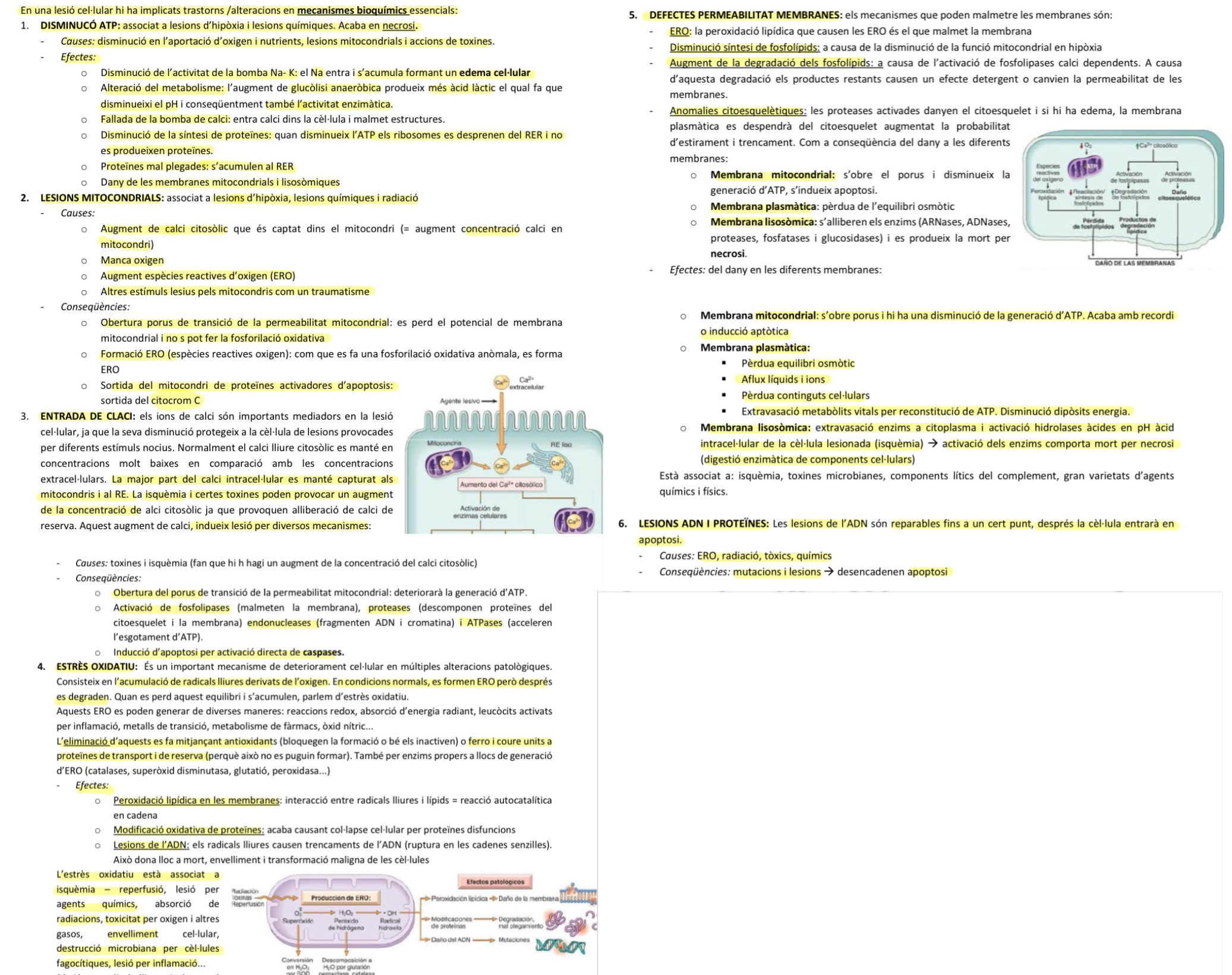 <p>Esta en la imagen. Son 6 </p>