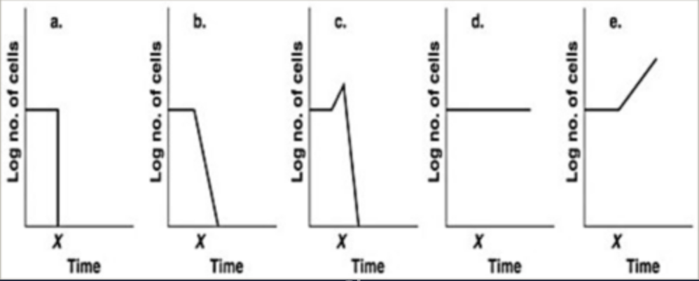 <p><span><span>Assume 109 </span></span><em>E. coli</em><span><span> cells/ml are in a flask. Which graph in Figure 7.2 best depicts the effect of placing the culture at 7°C at time </span></span><em>x</em><span><span>?</span></span></p><ul><li><p>e</p></li><li><p>d</p></li><li><p>c</p></li><li><p>b</p></li><li><p>a</p></li></ul><p></p>