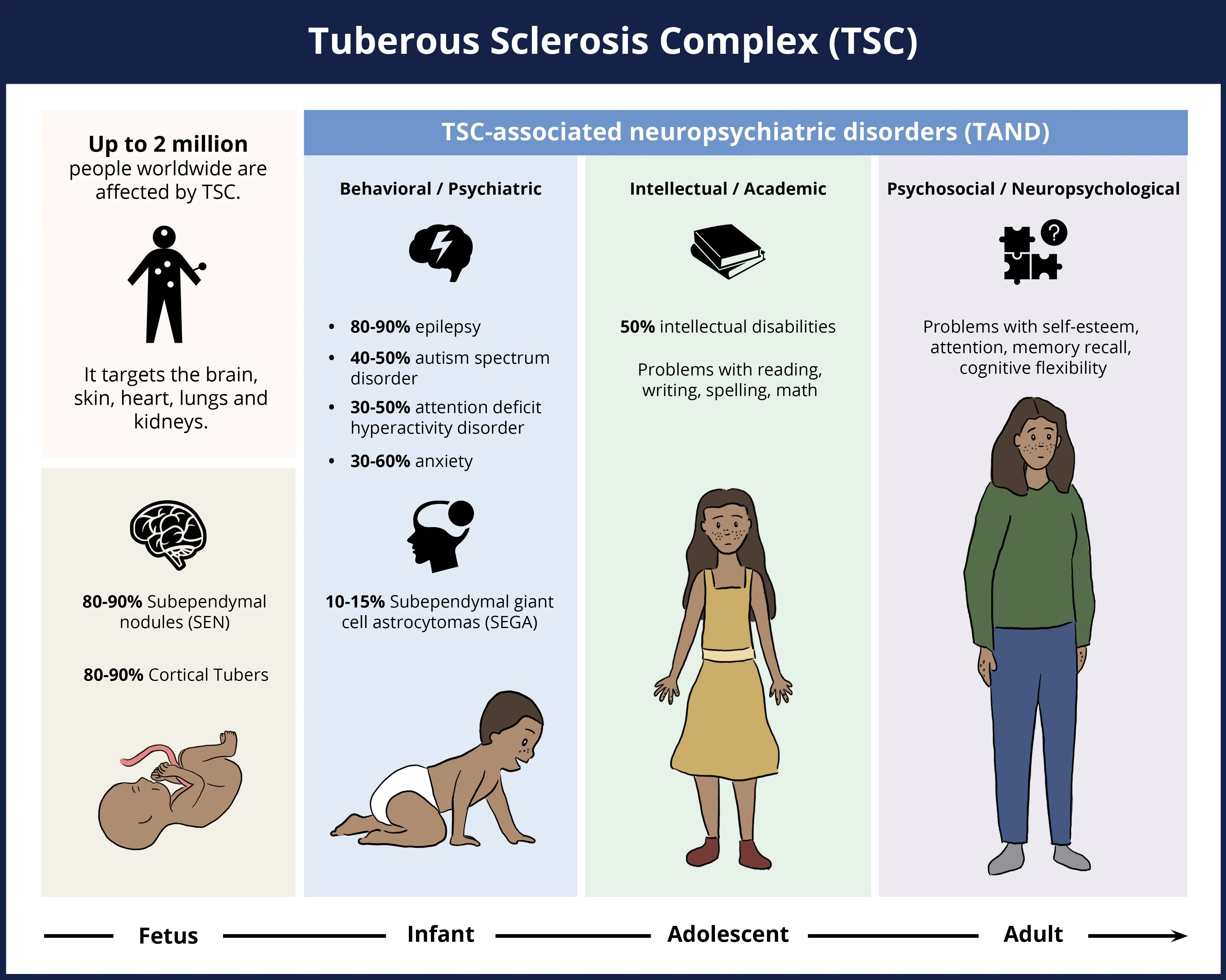 <p>- also called tuberous sclerosis complex (TSC)</p><p>- is an uncommon genetic disorder that causes tumors to develop in many parts of the body.</p>