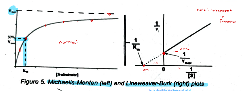 <p>[ENZYME KINETICS]</p><p>The plot showing [Substrate] vs velocity in a hyperbolic curve</p><p class="font-claude-response-body break-words whitespace-normal">a. Lineweaver-Burk plot<br>b. Hill plot<br>c. Michaelis-Menten plot<br>d. Scatchard plot</p>