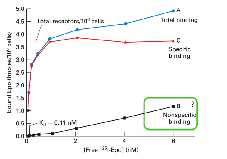 <p>To find Kd, y-axis is highest point on line. Then divide in half and see the Kd reflected on the x-axis</p>