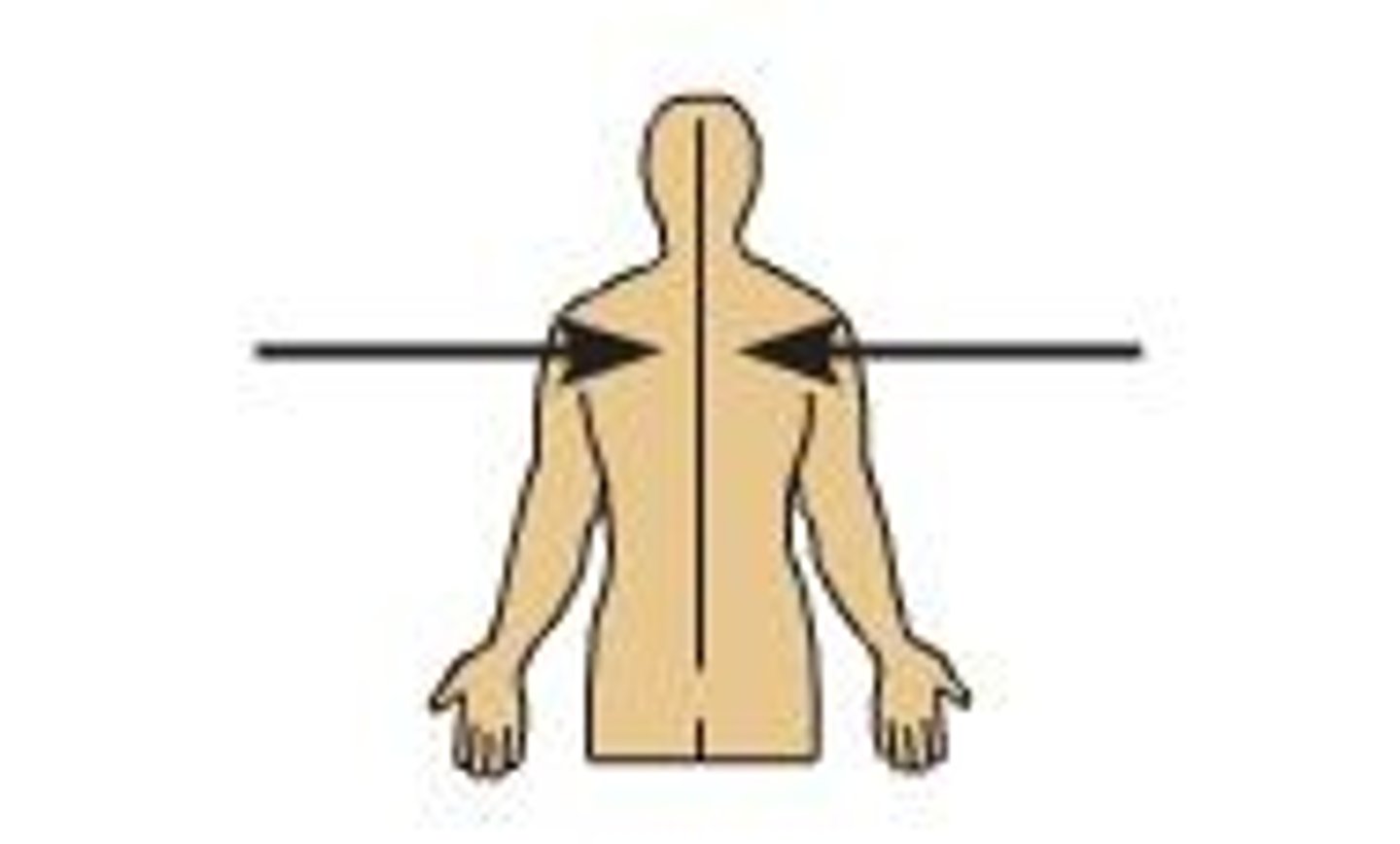 <p>Toward the midline.</p>