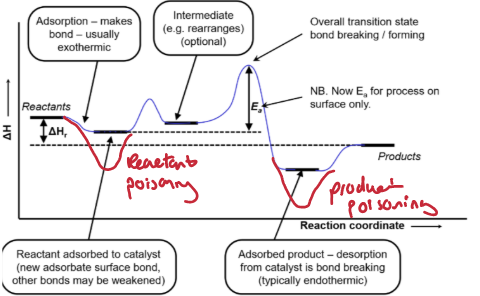 <ol><li><p>Reactant adsorbs to catalyst too strongly - reactant posioning.</p></li><li><p>Product poisoning</p></li></ol><p></p>