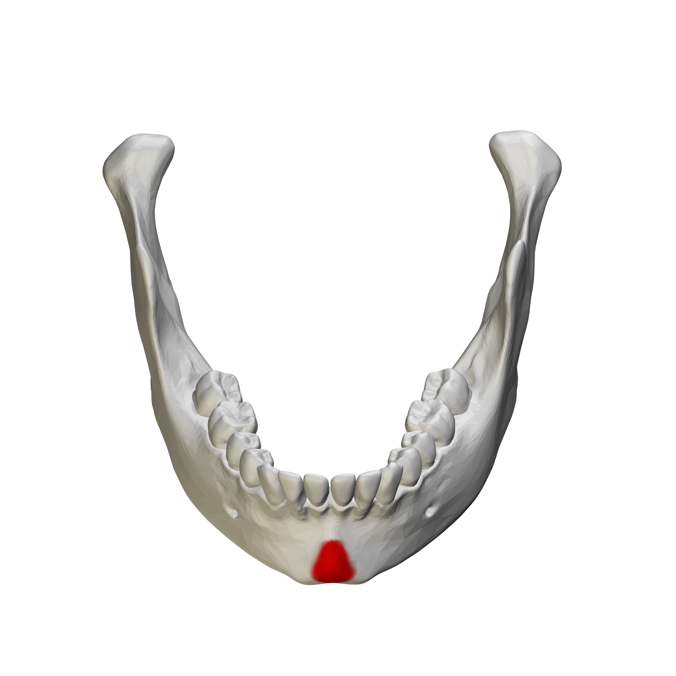 <p>the following picture is what extraoral landmark?</p>