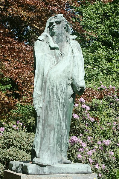 term image
