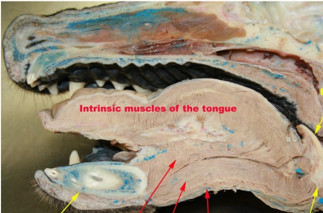 <p>What can we identify here?</p>