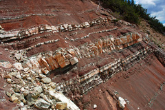 <p>A layer of sedimentary rock that was formed as sediments of sand and mud were compressed into rock by overlying deposits.</p>