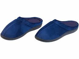 <p>A slipper</p>
