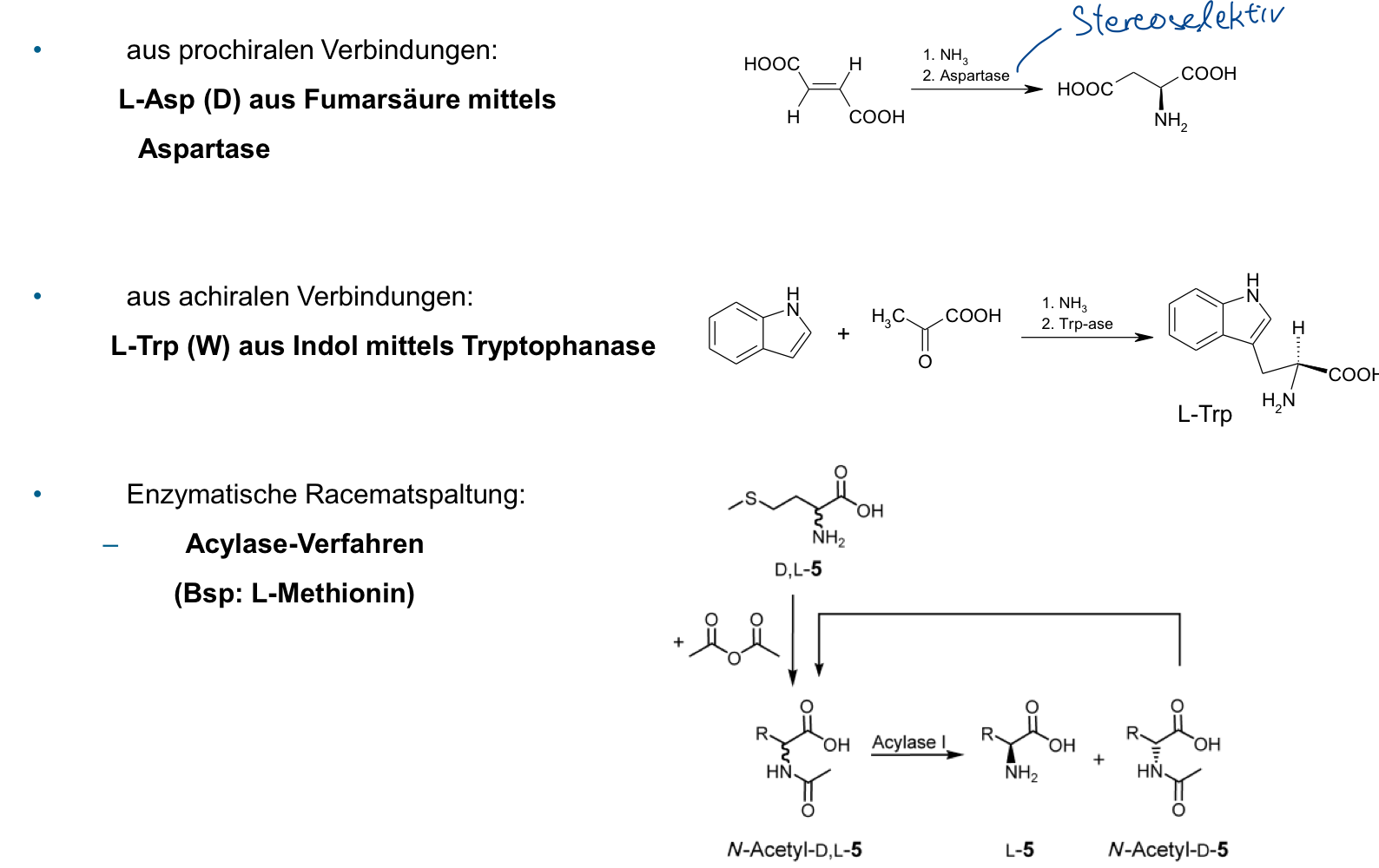 <p>• L-Asparagin aus Fumarsäure mittels Aspartase</p><p> • L-Tryptophan aus Indol mittels Tryptophanase </p><p>• Enzymatische Racematspaltung mittels Acylase (z. B. für L-Methionin)</p>