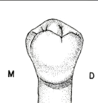 <p>larger</p>