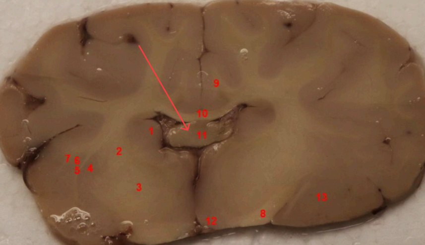 <p>what area is this </p>