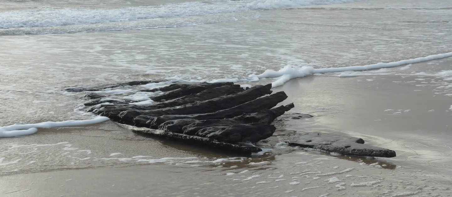 <p>(adj.)</p><p>Definition: not covered or protected; open to view or damage</p><p>Example: The exposed wood was damaged by seawater.</p>