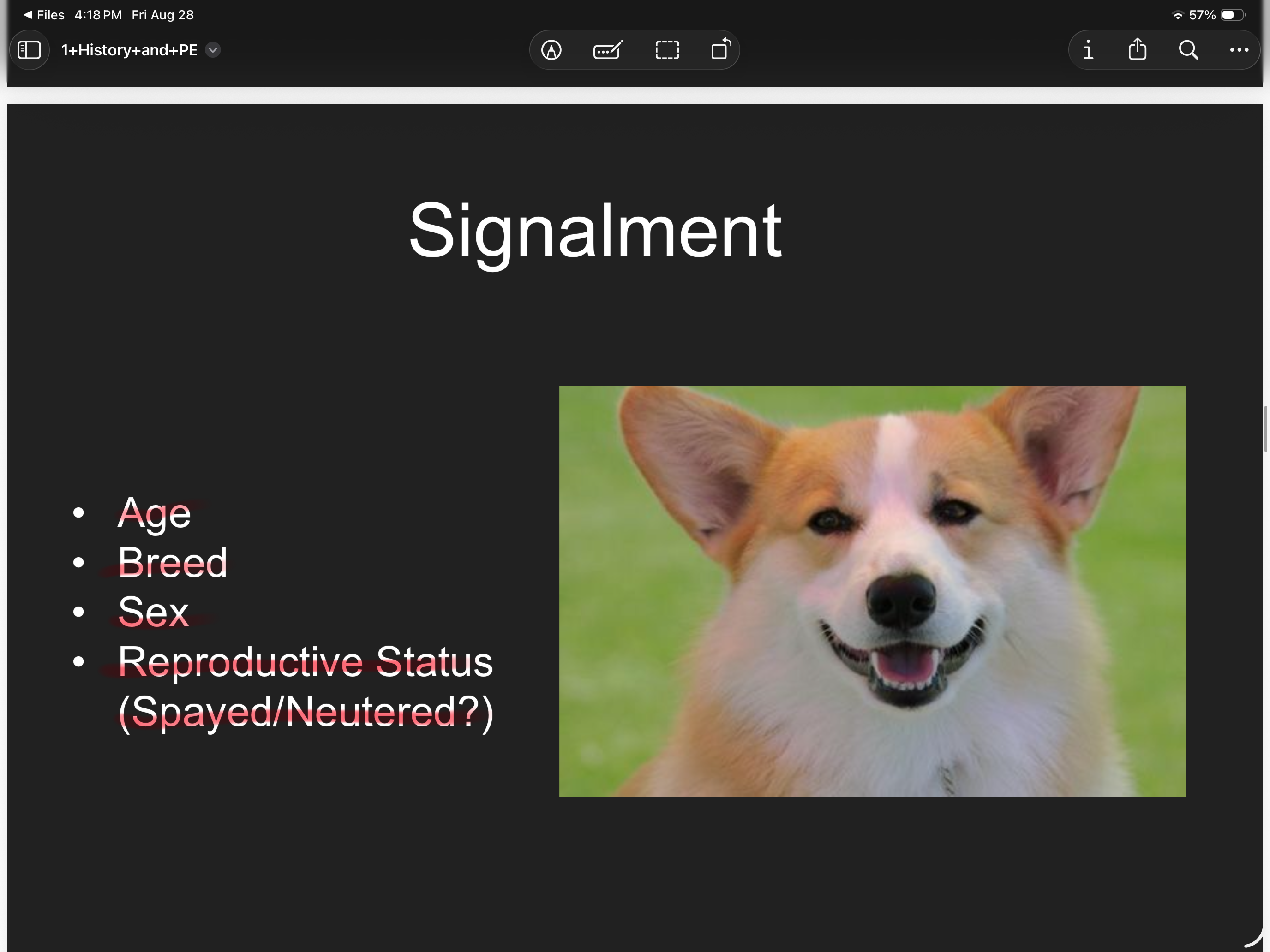 knowt flashcard image