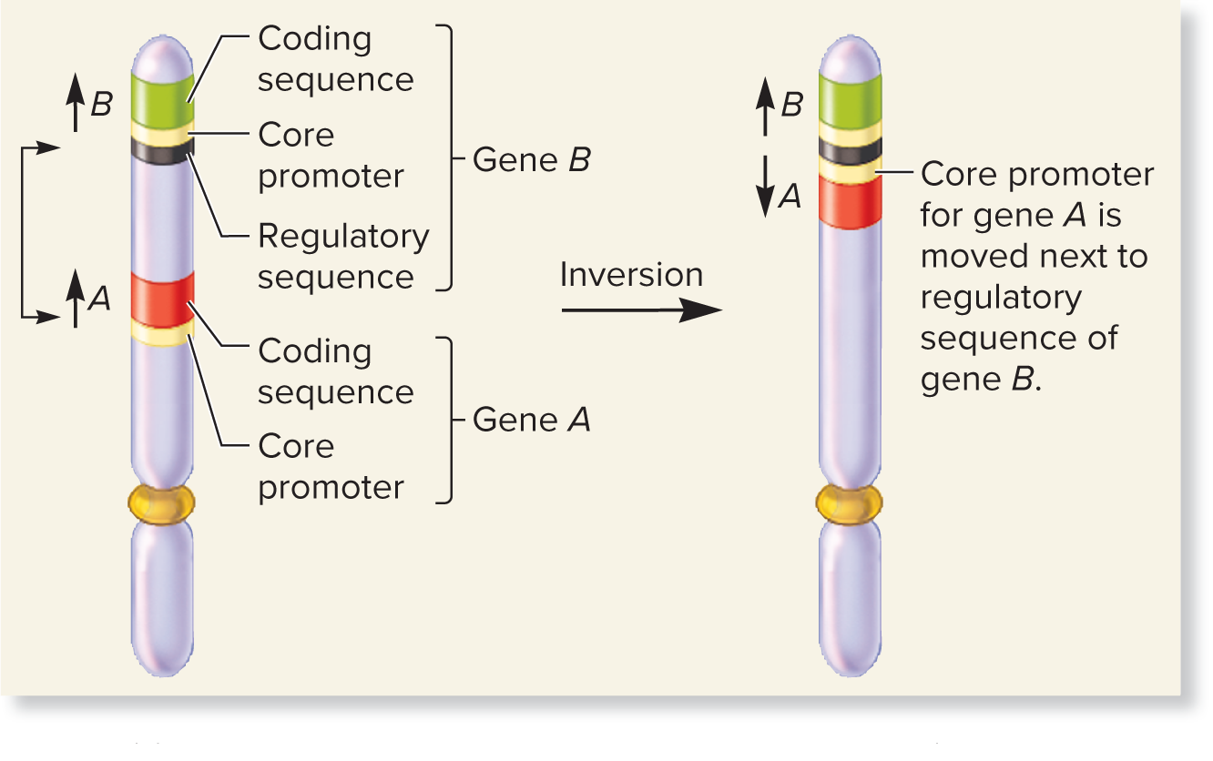 <p>what is this?</p>