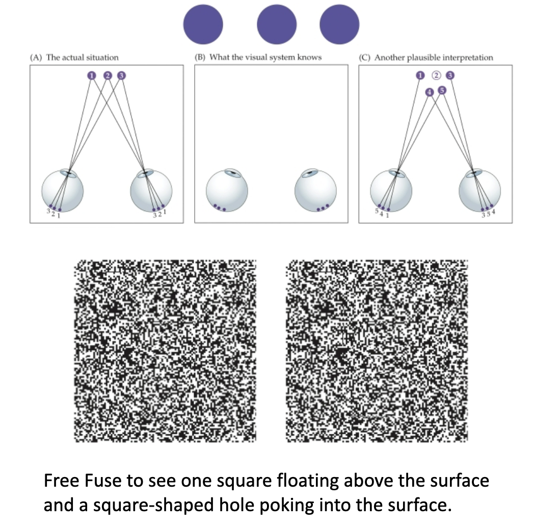 <p><u>Binocular Vision: Correspondence Problem</u></p><p><span style="color: rgb(251, 178, 178);">Correspondence problem: which retinal points from left &amp; right eyes should __?</span></p><p><span style="color: rgb(251, 178, 178);"><span data-name="arrow_right_hook" data-type="emoji">↪</span> Ambiguous — same input can have __ matches.</span></p><p><span style="color: rgb(176, 248, 162);">Random dot stereograms (RDS): isolate __ without ?.</span></p><p><span style="color: rgb(176, 248, 162);"><span data-name="arrow_right_hook" data-type="emoji">↪</span> Show stereopsis arises from __ alone, prior to ? .</span></p>