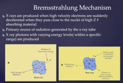 <p>Bremsstrahlung Mechanism</p>