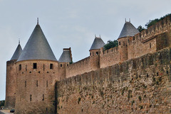 <p>A member of the western Goths that invaded the Roman Empire in the fourth century A.D. and settled in France and Spain, establishing a monarchy that lasted until the early eighth century.</p>