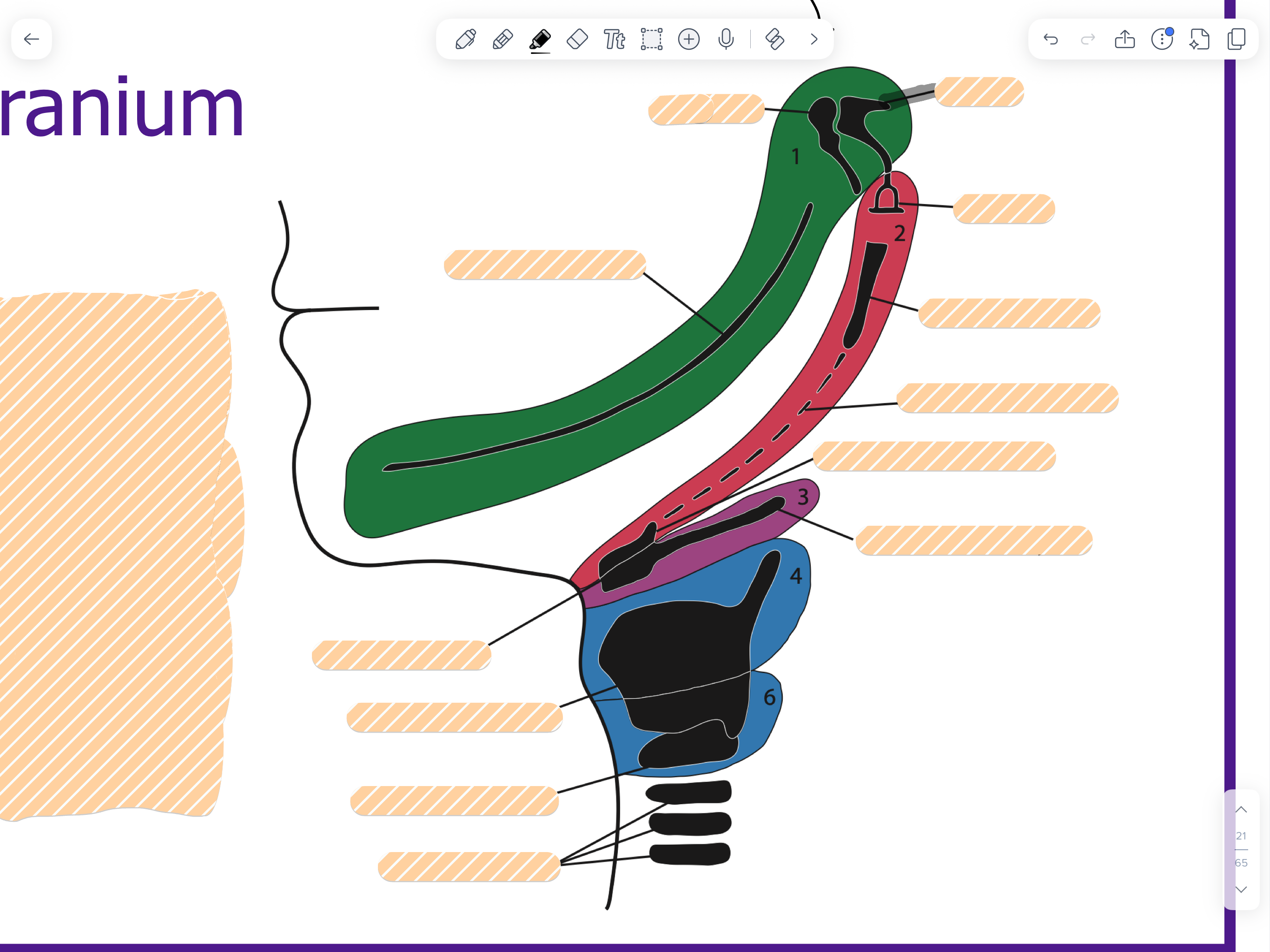 knowt flashcard image
