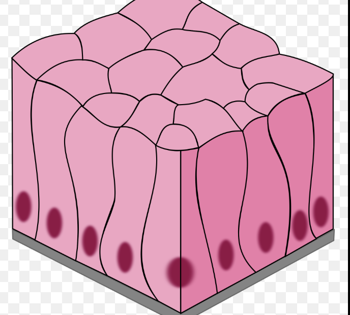 <p>What is this a picture of?</p>