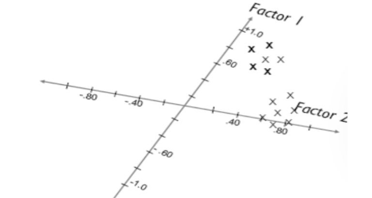 <p>Oblique Rotation</p>