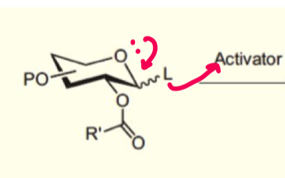 <p>explain how we can form beta-glycosides using ester neighbouring group participation?</p>