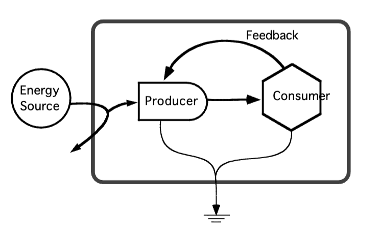 <p>draw a systems diagram for a forest system</p>