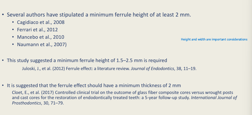 <p>2 mm - height and thickness </p>