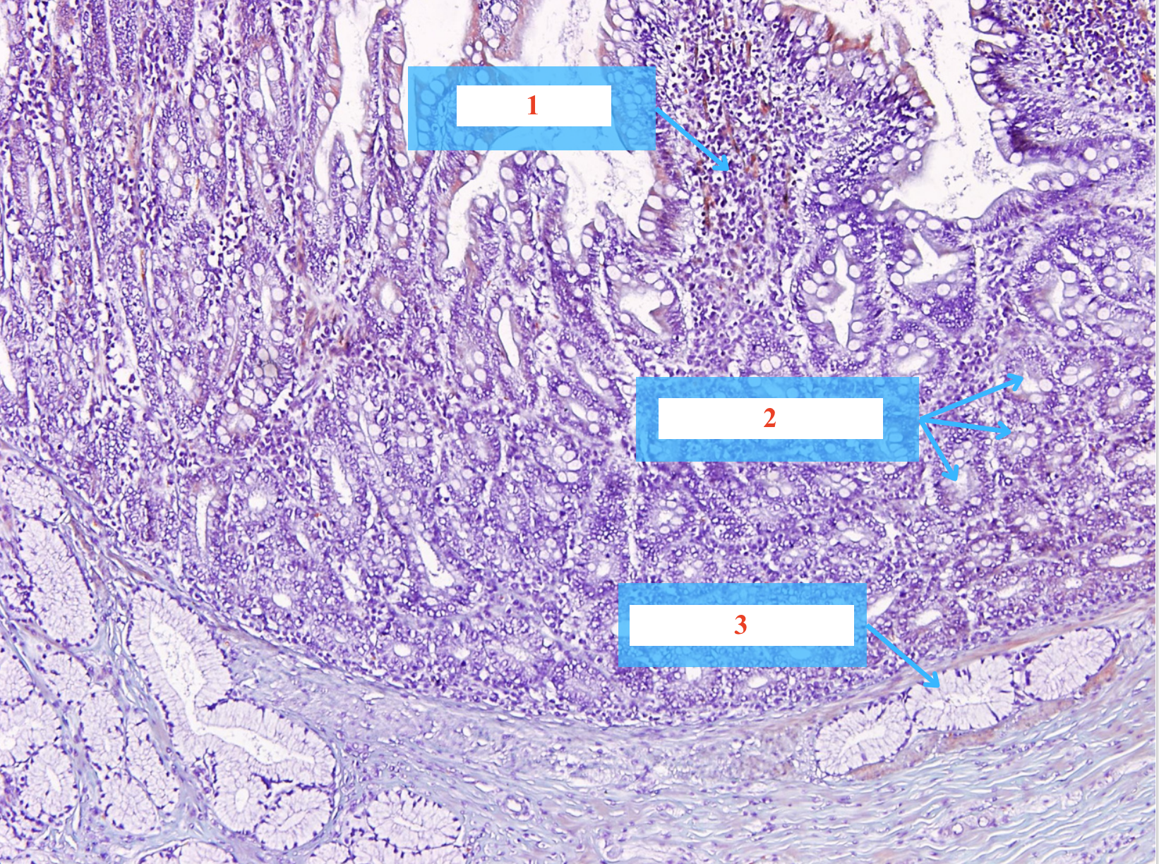 <p>Cấu trúc gì ?</p>