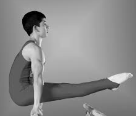 <p>Analyse the action of the antagonistic muscle pair at the ankle which results in the gymnast achieving the shape in the photo</p>