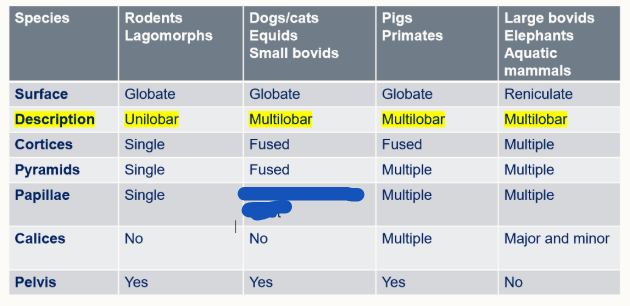 <p>Fill in</p>
