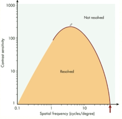 <p>Based on the following graph, at what spatial frequency does the visual system typically have maximum sensitivity to contrast?</p>