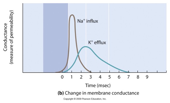 <p>What is this? </p>